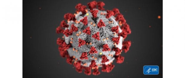 coronavirus featured
