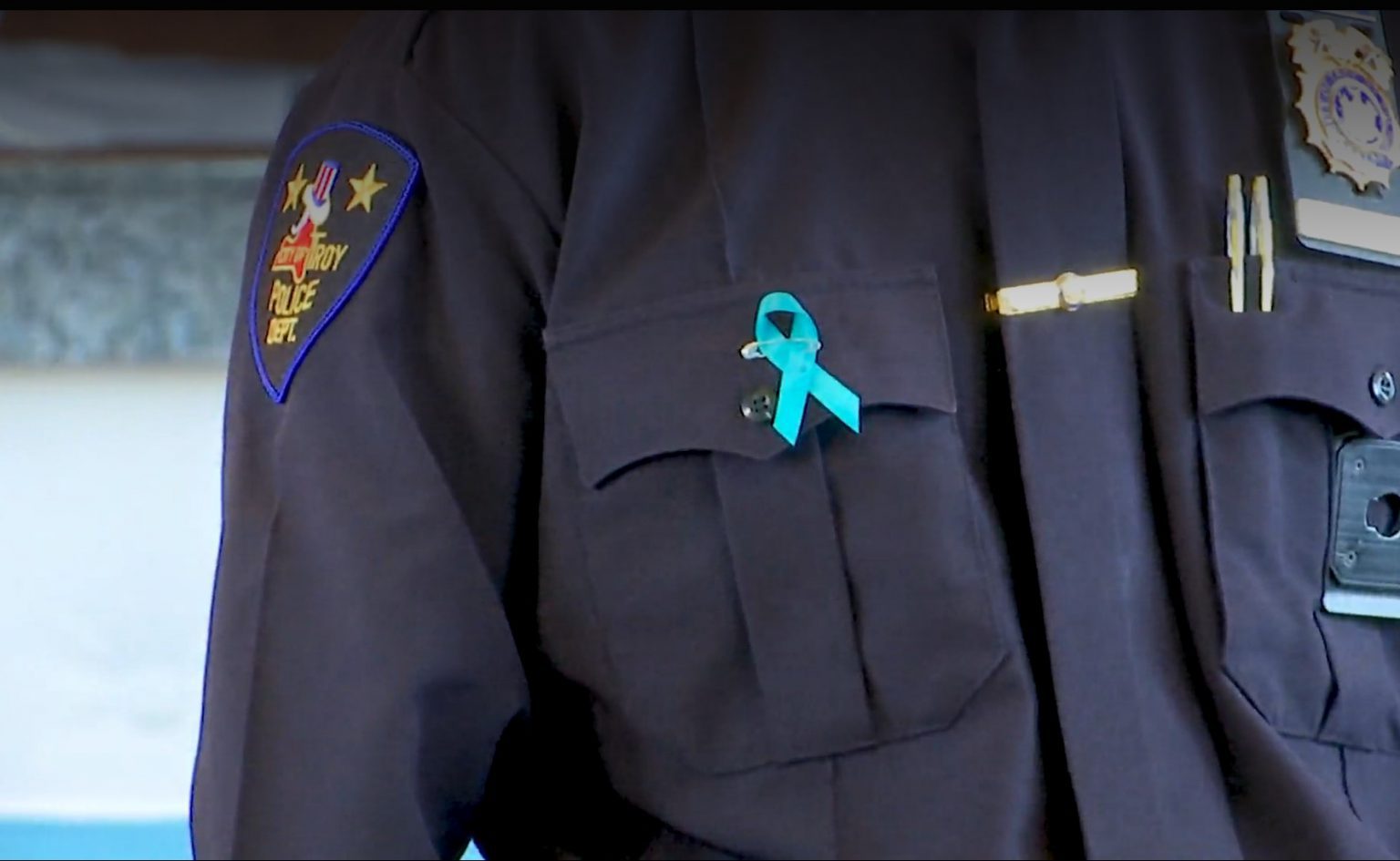 WTEN St. Peter’s Launches ‘Paint the Town Teal’ Campaign St. Peter's